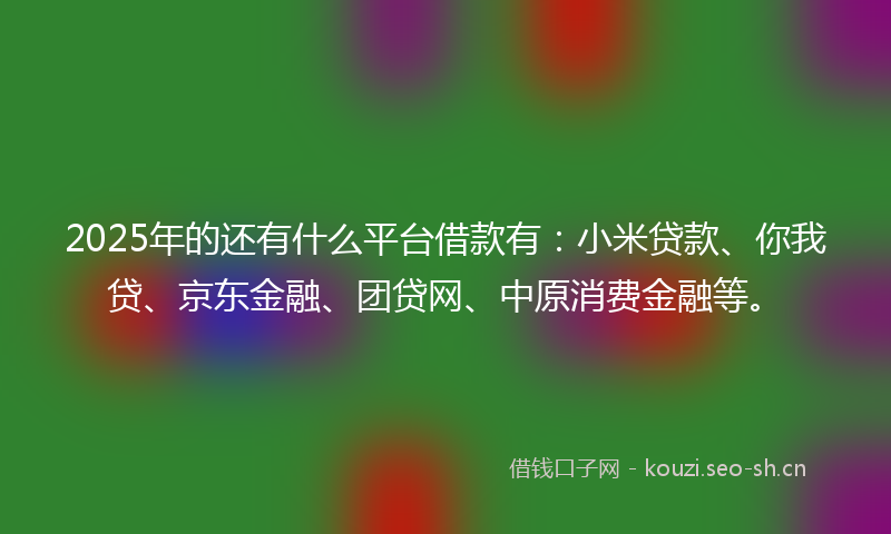 2025年的还有什么平台借款有：小米贷款、你我贷、京东金融、团贷网、中原消费金融等。