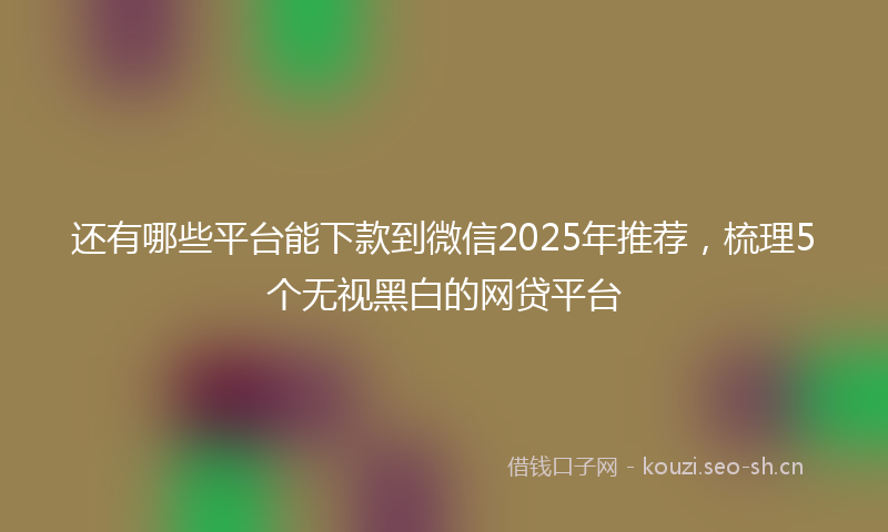 还有哪些平台能下款到微信2025年推荐,梳理5个无视黑白的网贷平台