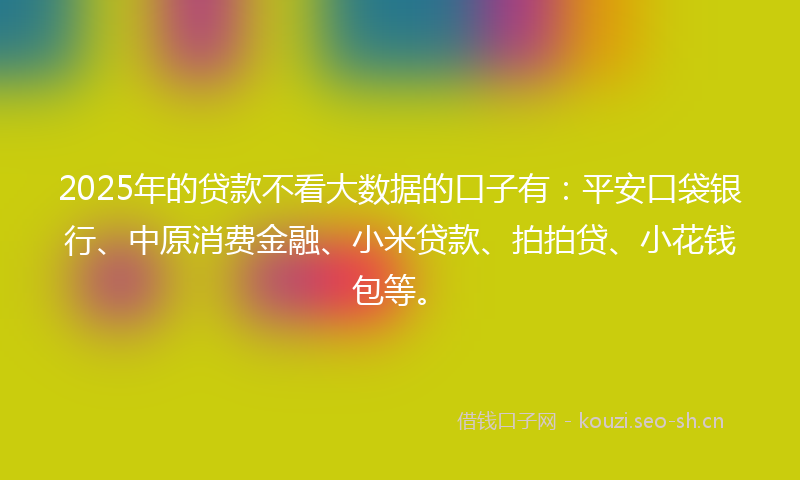 2025年的贷款不看大数据的口子有：平安口袋银行、中原消费金融、小米贷款、拍拍贷、小花钱包等。