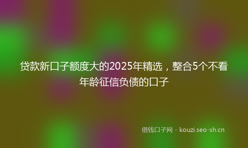 贷款新口子额度大的2025年精选，整合5个不看年龄征信负债的口子