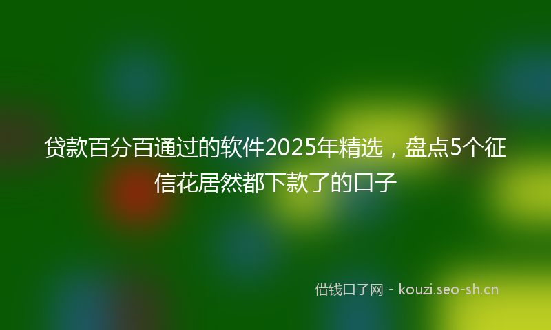 贷款百分百通过的软件2025年精选，盘点5个征信花居然都下款了的口子