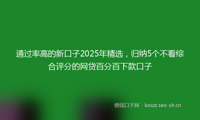通过率高的新口子2025年精选，归纳5个不看综合评分的网贷百分百下款口子