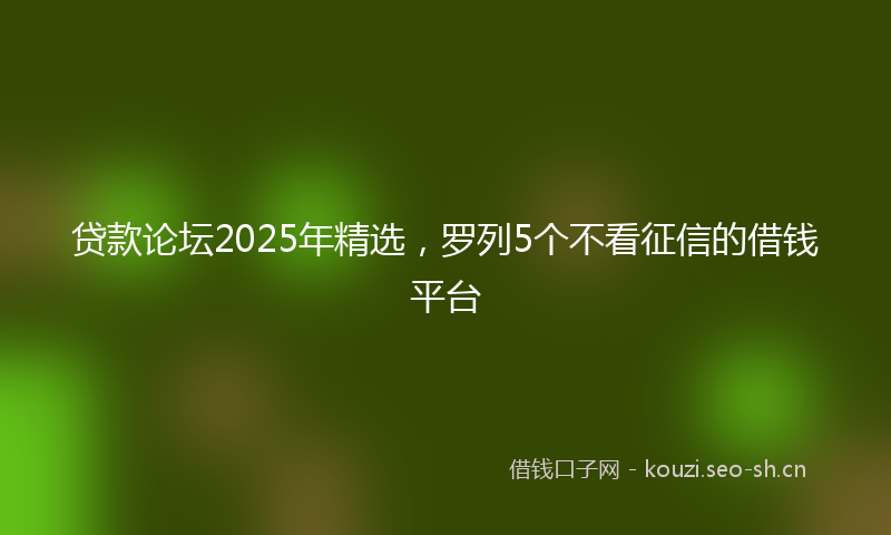 贷款论坛2025年精选，罗列5个不看征信的借钱平台