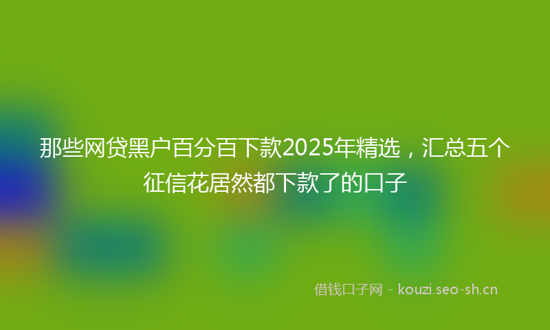 那些网贷黑户百分百下款2025年精选，汇总五个征信花居然都下款了的口子