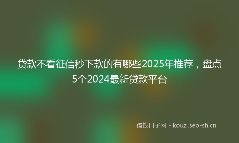 贷款不看征信秒下款的有哪些2025年推荐，盘点5个2024最新贷款平台