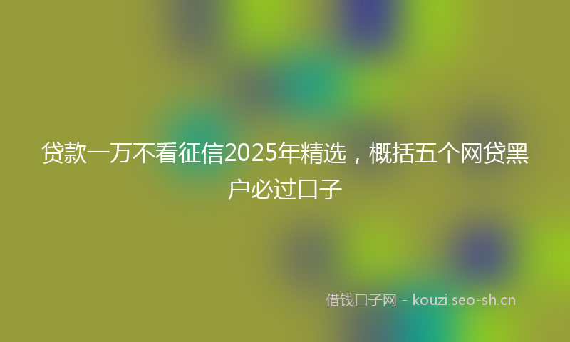 贷款一万不看征信2025年精选，概括五个网贷黑户必过口子