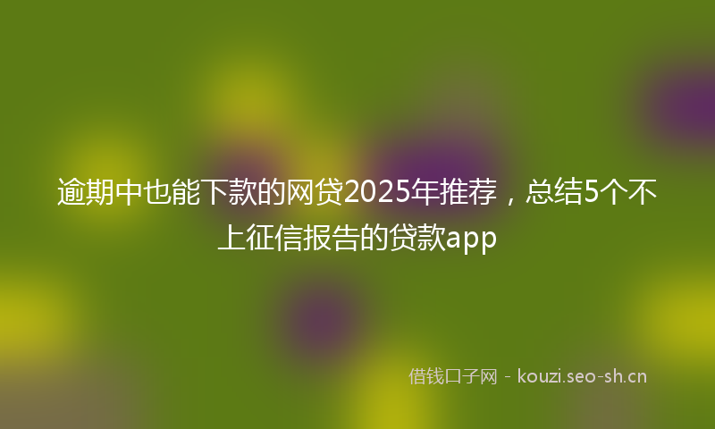 逾期中也能下款的网贷2025年推荐,总结5个不上征信报告的贷款app