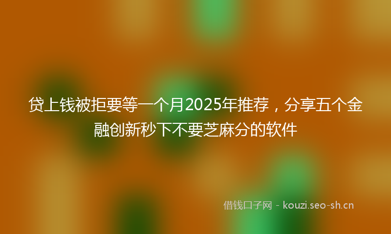 贷上钱被拒要等一个月2025年推荐，分享五个金融创新秒下不要芝麻分的软件