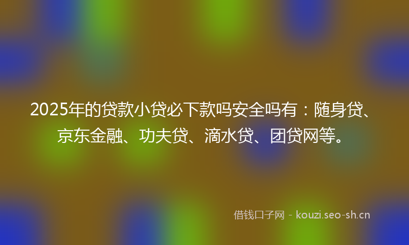2025年的贷款小贷必下款吗安全吗有：随身贷、京东金融、功夫贷、滴水贷、团贷网等。