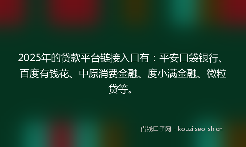 2025年的贷款平台链接入口有：平安口袋银行、百度有钱花、中原消费金融、度小满金融、微粒贷等。