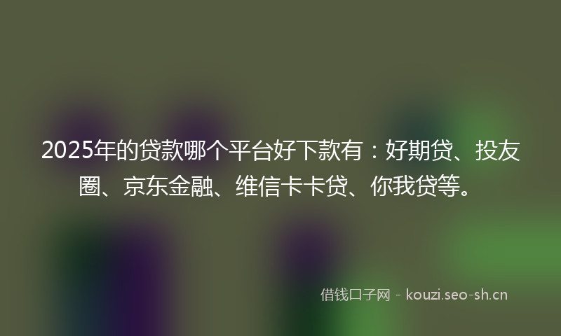 2025年的贷款哪个平台好下款有：好期贷、投友圈、京东金融、维信卡卡贷、你我贷等。