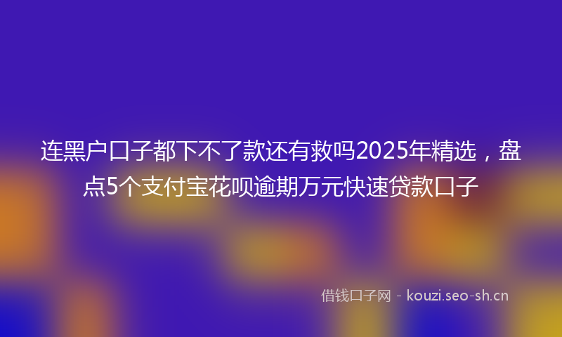 连黑户口子都下不了款还有救吗2025年精选，盘点5个支付宝花呗逾期万元快速贷款口子