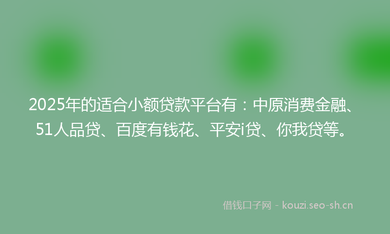 2025年的适合小额贷款平台有：中原消费金融、51人品贷、百度有钱花、平安i贷、你我贷等。