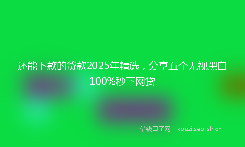 还能下款的贷款2025年精选，分享五个无视黑白100%秒下网贷
