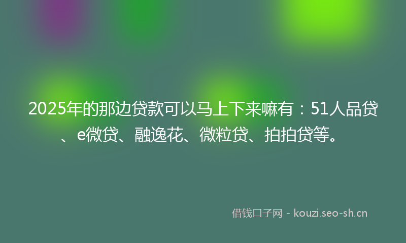 2025年的那边贷款可以马上下来嘛有:51人品贷、e微贷、融逸花、微粒贷、拍拍贷等。