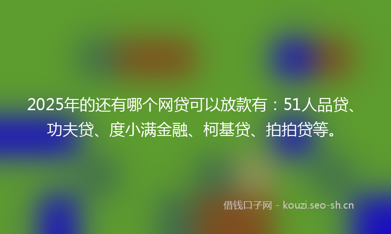 2025年的还有哪个网贷可以放款有:51人品贷、功夫贷、度小满金融、柯基贷、拍拍贷等。