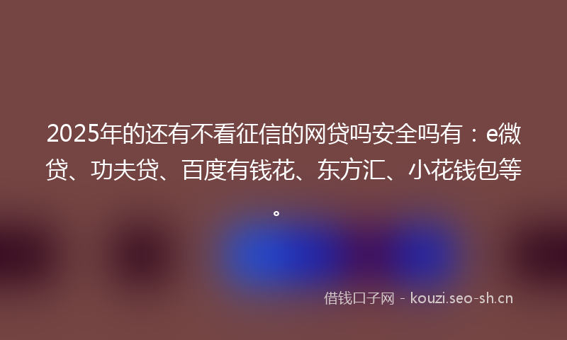 2025年的还有不看征信的网贷吗安全吗有：e微贷、功夫贷、百度有钱花、东方汇、小花钱包等。