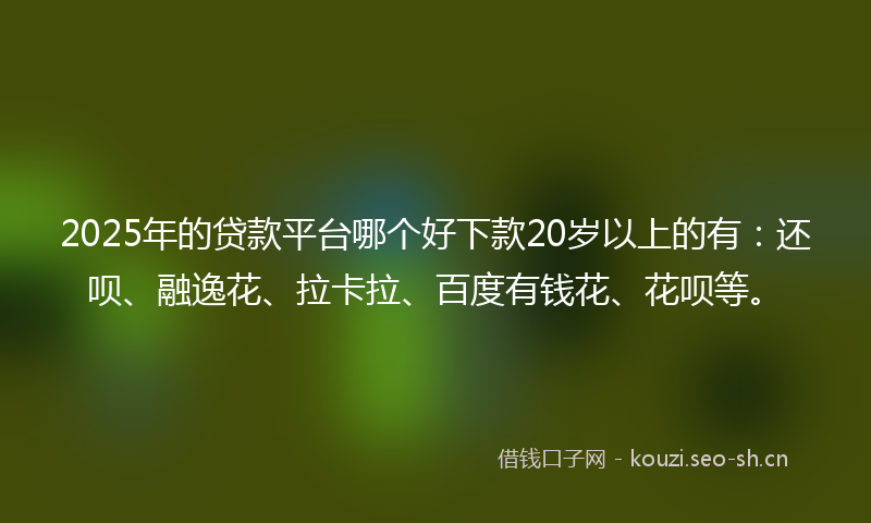 2025年的贷款平台哪个好下款20岁以上的有：还呗、融逸花、拉卡拉、百度有钱花、花呗等。