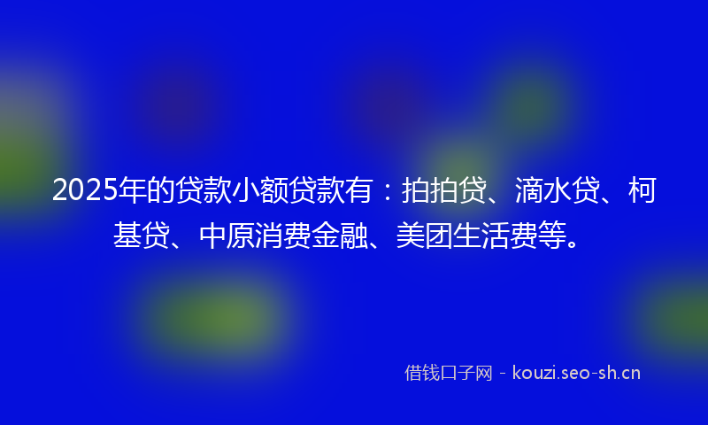 2025年的贷款小额贷款有：拍拍贷、滴水贷、柯基贷、中原消费金融、美团生活费等。