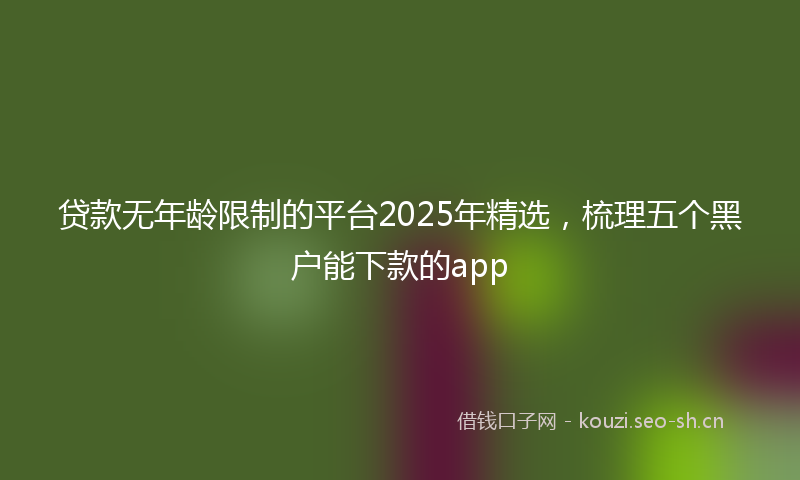 贷款无年龄限制的平台2025年精选，梳理五个黑户能下款的app