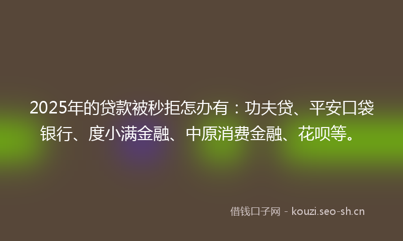 2025年的贷款被秒拒怎办有：功夫贷、平安口袋银行、度小满金融、中原消费金融、花呗等。