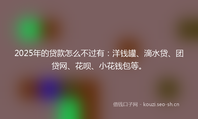 2025年的贷款怎么不过有：洋钱罐、滴水贷、团贷网、花呗、小花钱包等。