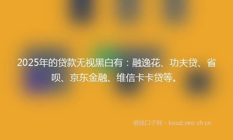 2025年的贷款无视黑白有：融逸花、功夫贷、省呗、京东金融、维信卡卡贷等。
