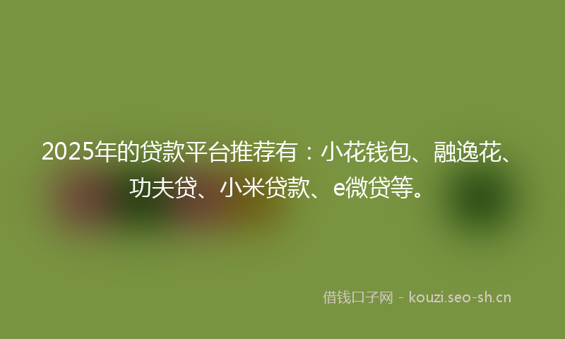 2025年的贷款平台推荐有：小花钱包、融逸花、功夫贷、小米贷款、e微贷等。
