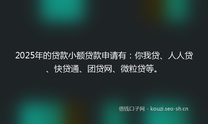 2025年的贷款小额贷款申请有：你我贷、人人贷、快贷通、团贷网、微粒贷等。