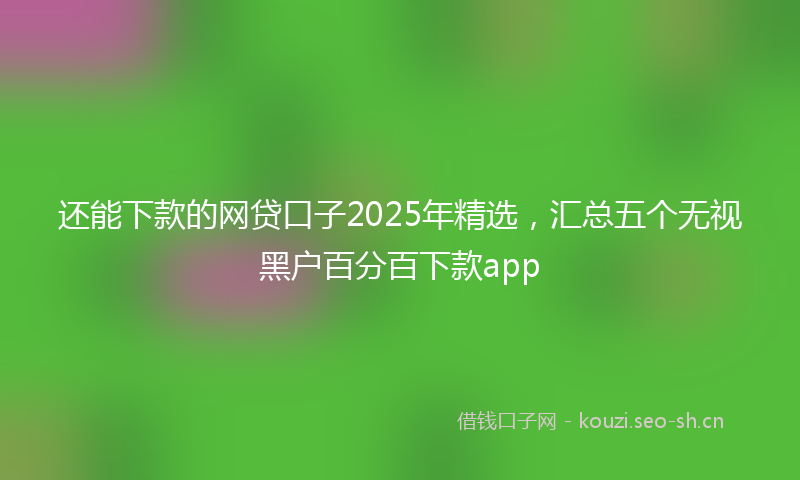 还能下款的网贷口子2025年精选，汇总五个无视黑户百分百下款app