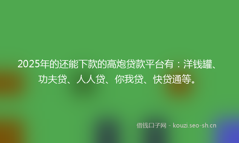 2025年的还能下款的高炮贷款平台有:洋钱罐、功夫贷、人人贷、你我贷、快贷通等。