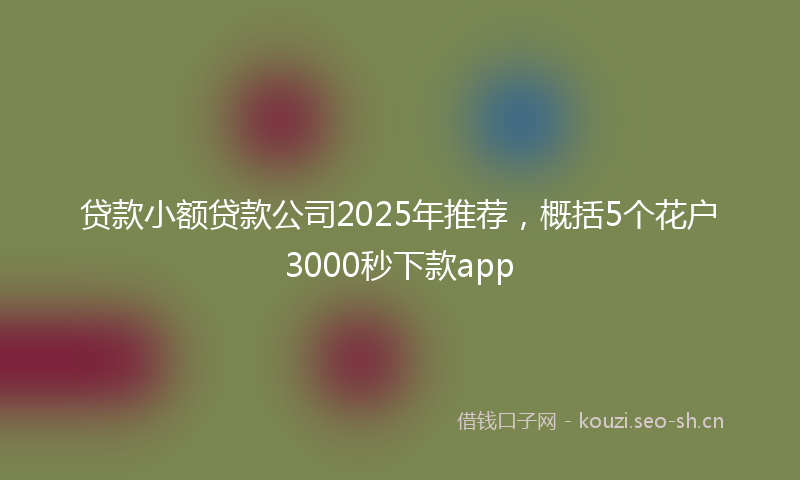 贷款小额贷款公司2025年推荐，概括5个花户3000秒下款app