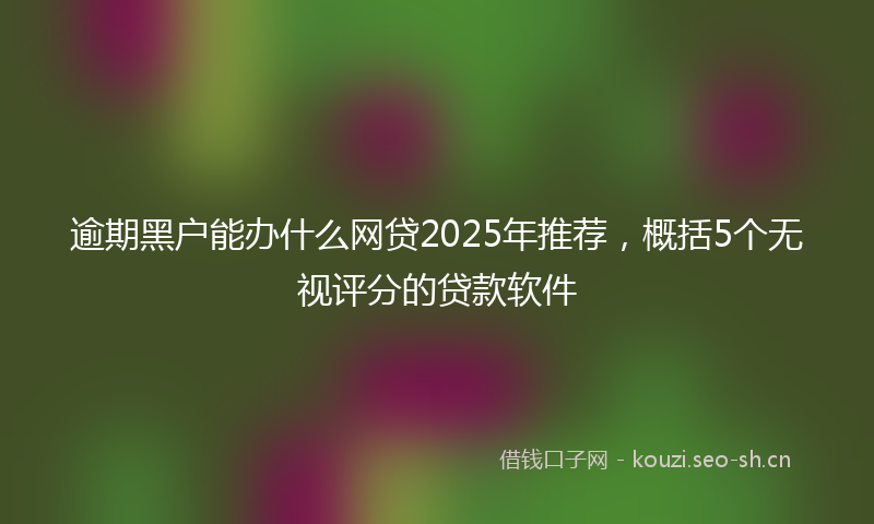 逾期黑户能办什么网贷2025年推荐,概括5个无视评分的贷款软件