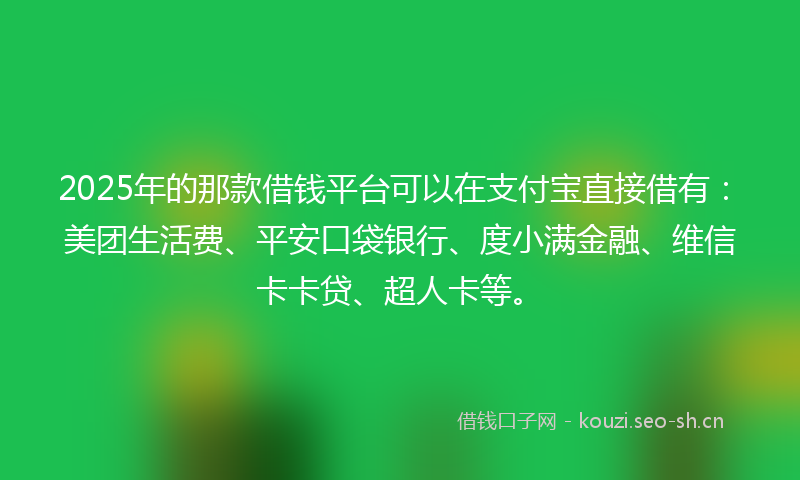 2025年的那款借钱平台可以在支付宝直接借有:美团生活费、平安口袋银行、度小满金融、维信卡卡贷、超人卡等。