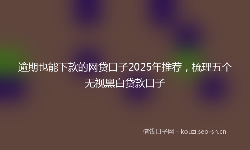 逾期也能下款的网贷口子2025年推荐,梳理五个无视黑白贷款口子