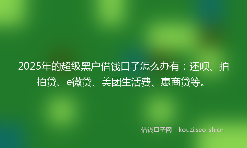 2025年的超级黑户借钱口子怎么办有：还呗、拍拍贷、e微贷、美团生活费、惠商贷等。
