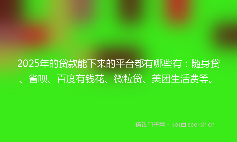 2025年的贷款能下来的平台都有哪些有：随身贷、省呗、百度有钱花、微粒贷、美团生活费等。