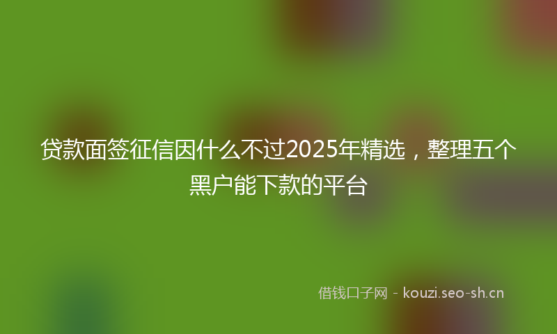 贷款面签征信因什么不过2025年精选，整理五个黑户能下款的平台