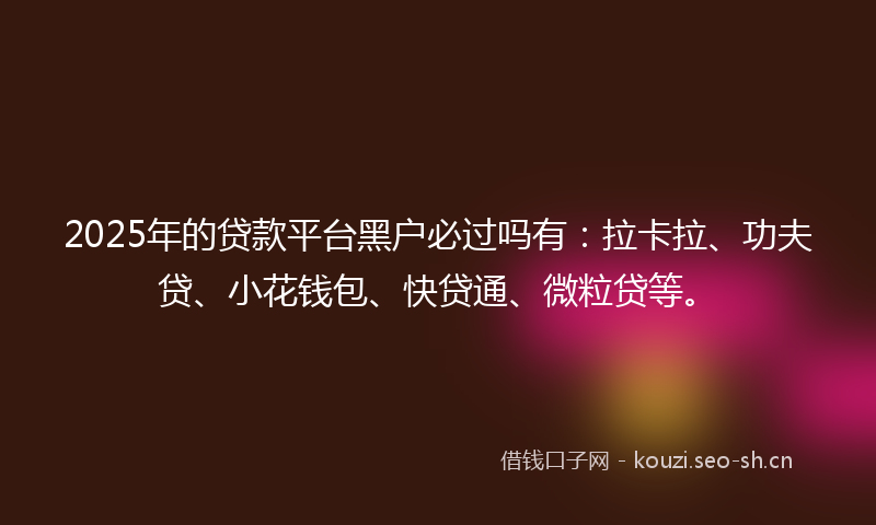 2025年的贷款平台黑户必过吗有：拉卡拉、功夫贷、小花钱包、快贷通、微粒贷等。
