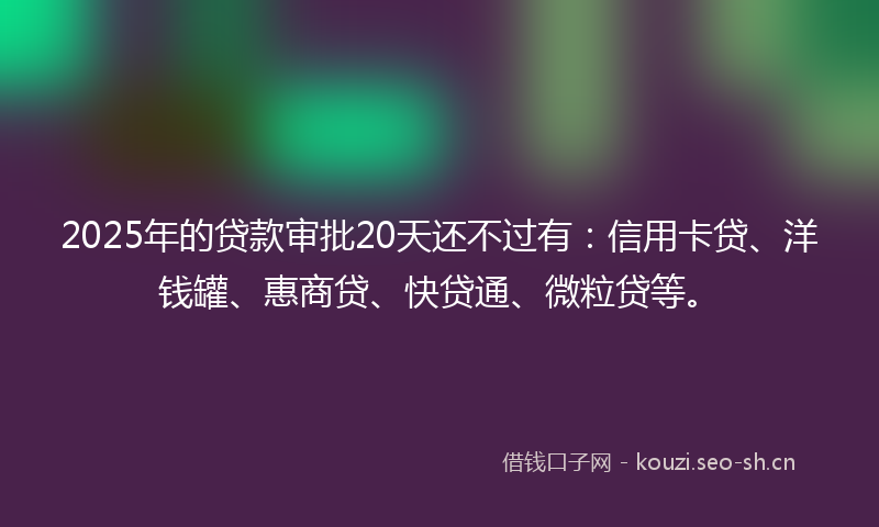 2025年的贷款审批20天还不过有：信用卡贷、洋钱罐、惠商贷、快贷通、微粒贷等。