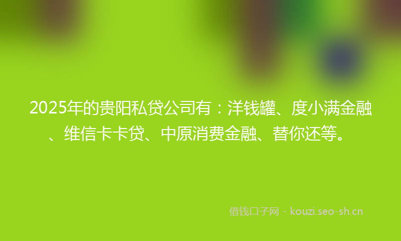 2025年的贵阳私贷公司有：洋钱罐、度小满金融、维信卡卡贷、中原消费金融、替你还等。
