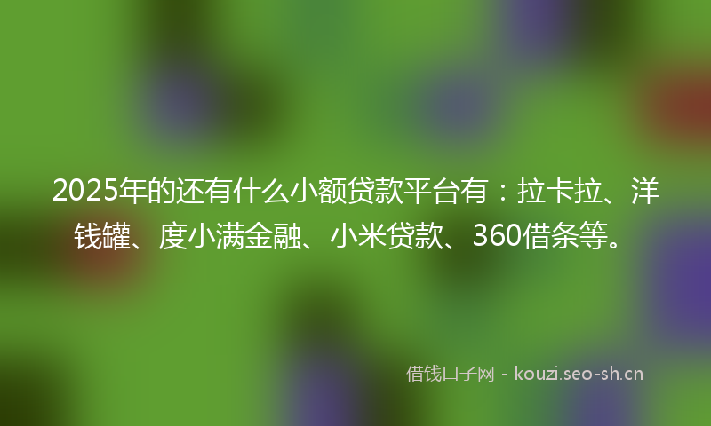 2025年的还有什么小额贷款平台有：拉卡拉、洋钱罐、度小满金融、小米贷款、360借条等。