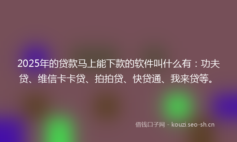 2025年的贷款马上能下款的软件叫什么有:功夫贷、维信卡卡贷、拍拍贷、快贷通、我来贷等。