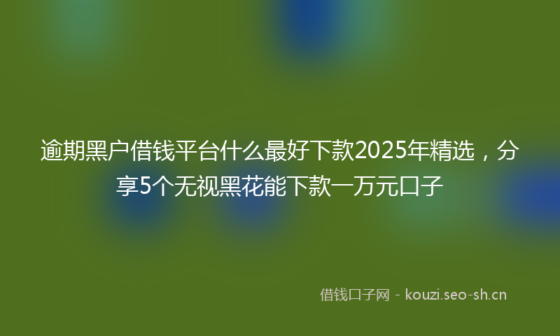 逾期黑户借钱平台什么最好下款2025年精选，分享5个无视黑花能下款一万元口子