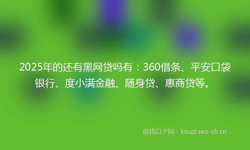 2025年的还有黑网贷吗有：360借条、平安口袋银行、度小满金融、随身贷、惠商贷等。