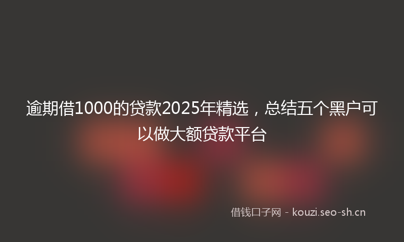 逾期借1000的贷款2025年精选，总结五个黑户可以做大额贷款平台