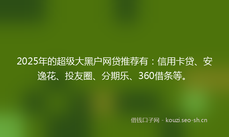 2025年的超级大黑户网贷推荐有：信用卡贷、安逸花、投友圈、分期乐、360借条等。