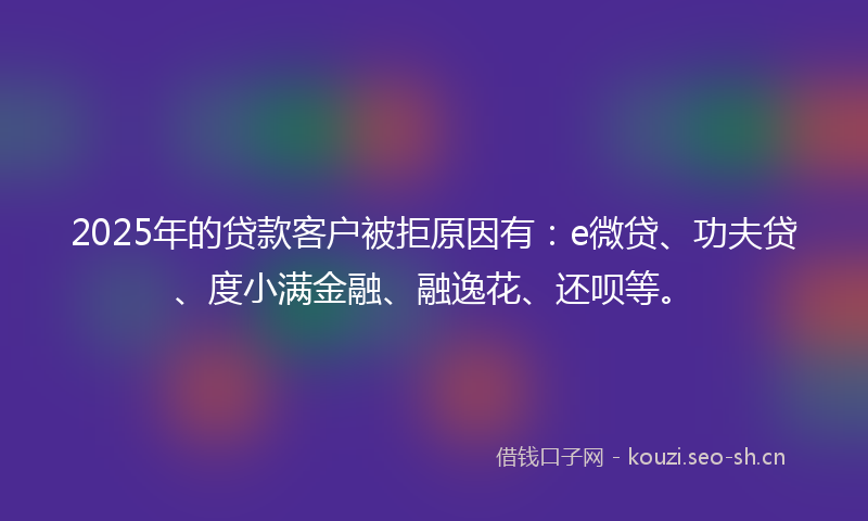 2025年的贷款客户被拒原因有：e微贷、功夫贷、度小满金融、融逸花、还呗等。