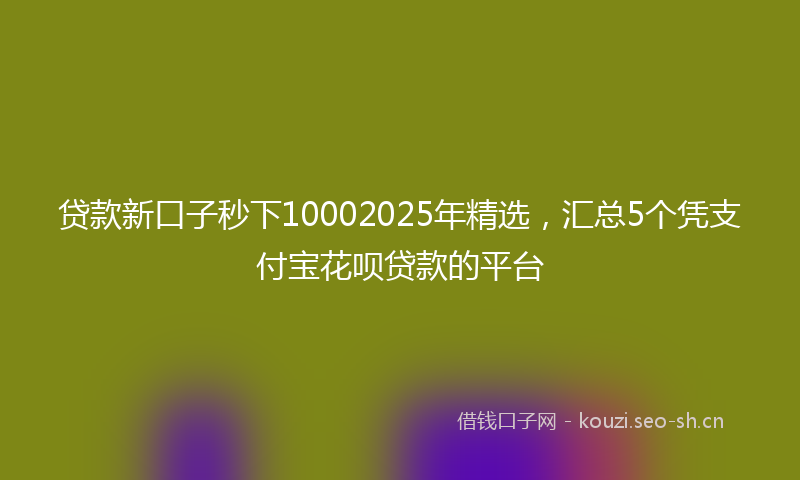 贷款新口子秒下10002025年精选，汇总5个凭支付宝花呗贷款的平台