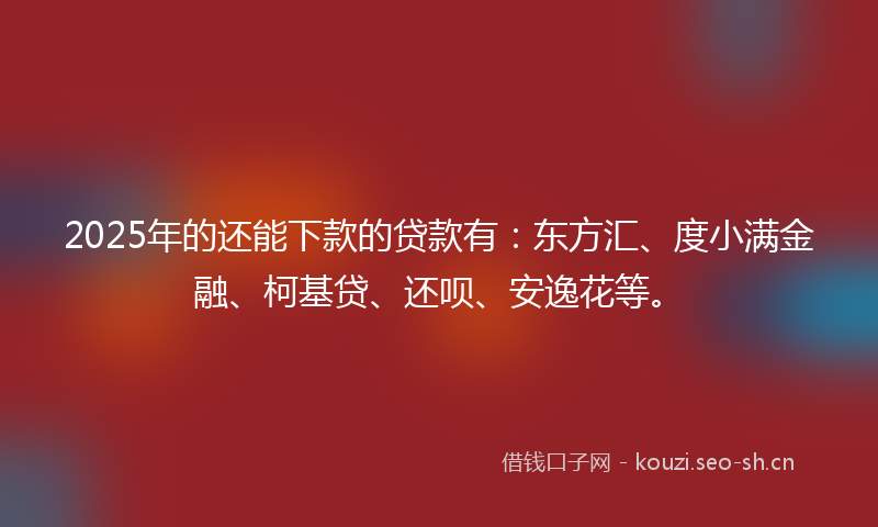 2025年的还能下款的贷款有：东方汇、度小满金融、柯基贷、还呗、安逸花等。